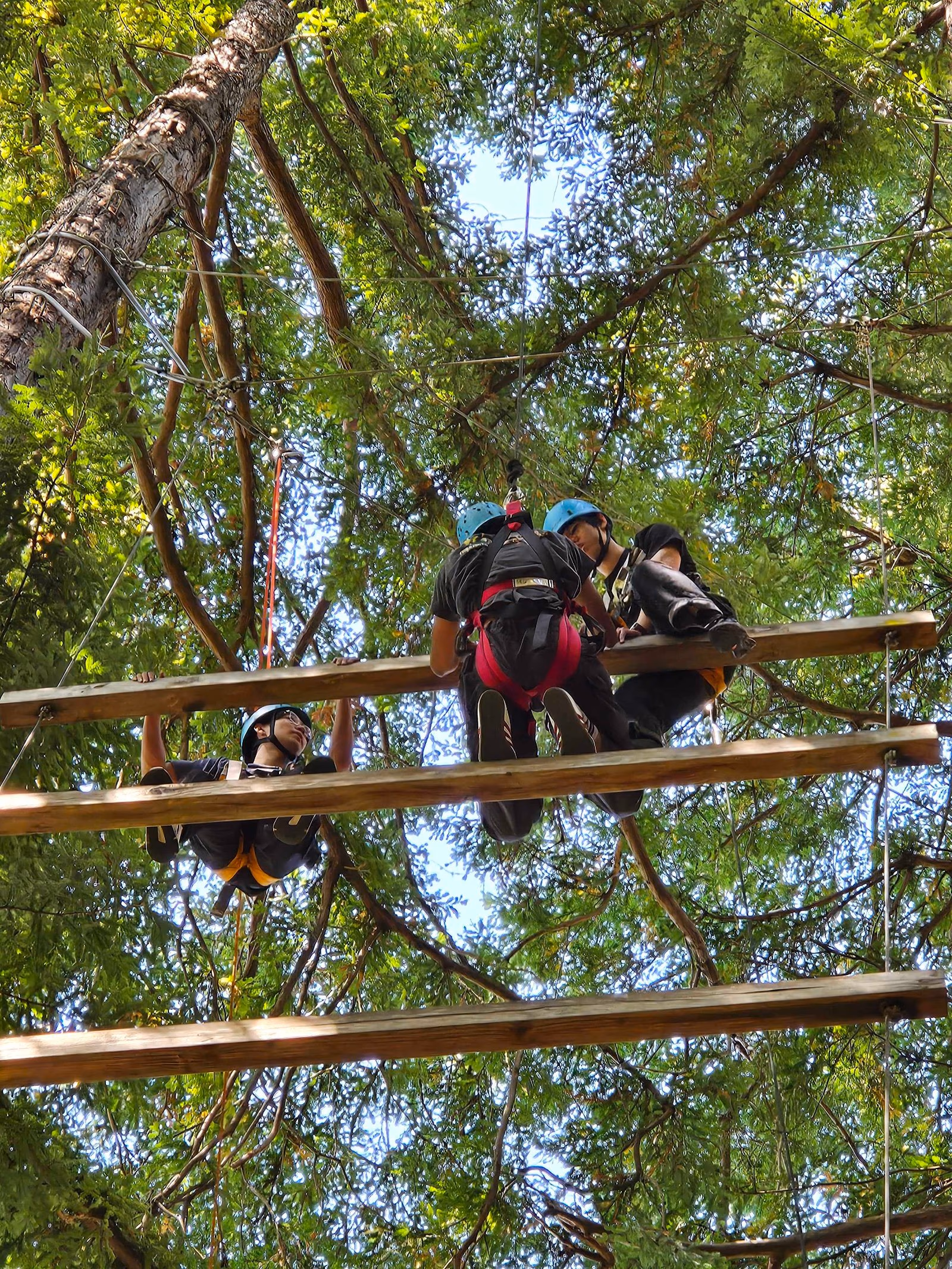 ChipAgents team on the ropes course at the company retreat